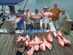 haws_good_snapper_fishing_port-oconnor