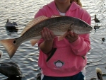 Lauren Swift's 1st Redfish